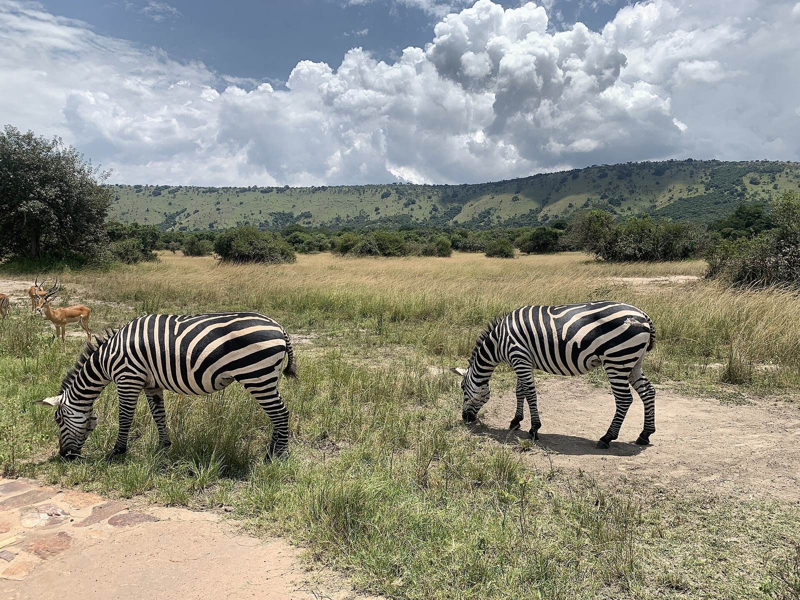 Akagera - Rwanda